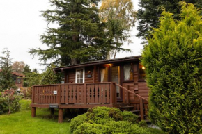 Mountain View Log Cabin in Snowdonia nr Coed y Brenin